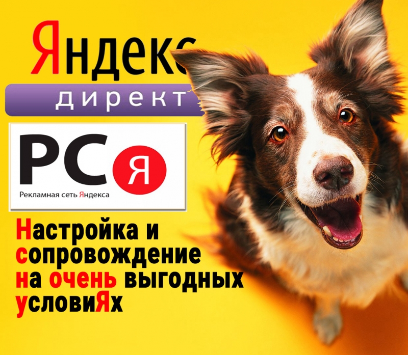 Приведу много клиентов из РСЯ в ваш бизнес