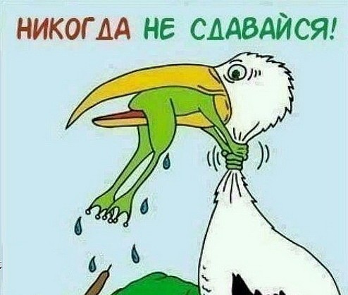 Не пропусти