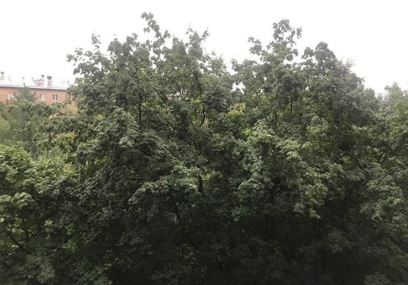 Комната в аренду в замечательной квартире.