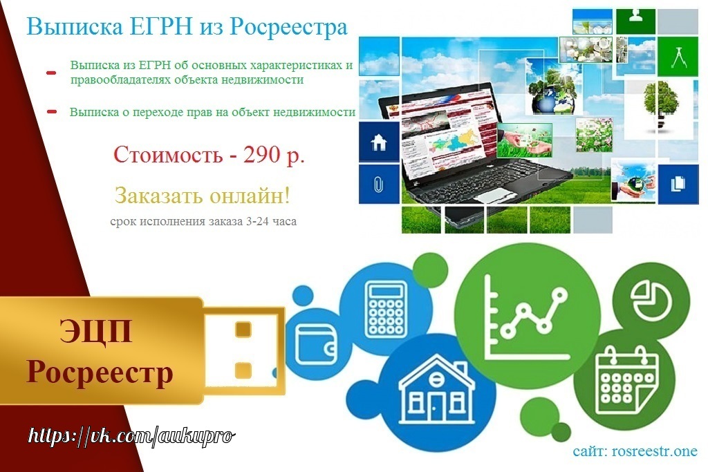 Интернет ресурс получения выписки из ЕГРП Росреестра