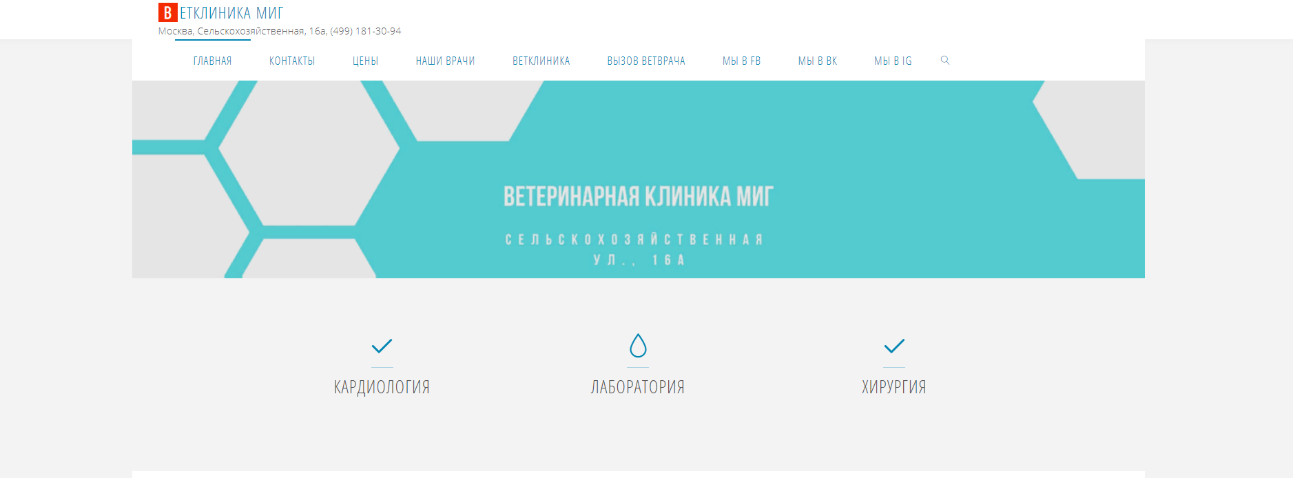 Ветеринарная клиника в Москве