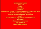 Тамада Михаил Максимов - абсолютно!