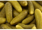 КУПИМ ОГУРЦЫ СОЛЕНЫЕ