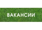 Онлайн Работа для современных людей