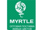 Требуется партнер для открытия цветочного магазина