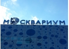 Рекламные вывески по лучшим ценам в Москве!