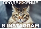 Продвижение в Instagram