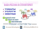 Реклама в интернете товаров и услуг по всей России