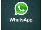 Программа для рассылки WhatsApp