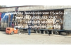 Закупаем макулатуру всех видов и марок в больших объемах - ДСТУ 35002009, ГОСТ