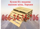 Куплю бу поддоны - высокие цены, Харьков