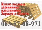 Куплю поддоны деревянные, пластиковые. Продам еврокубы чистые.