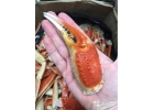 Краб Стригун