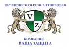 Профессиональная юридическая консультация