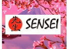 Кондиционеры SENSEI