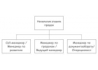 Руководитель отдела оптовых продаж