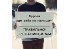 Решение задач на заказ в Вологде