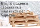 Куплю поддоны, европоддоны, закупка тары Харьков