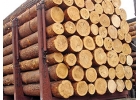 Куплю деловую древесинукругляк
