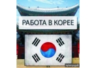 Работа в Южной Корее. ЗП от 2000 у.е. БЕЗ ПРЕДОПЛАТ.