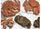Ищу партнеров в регионах. Сфера морепродуктов оптом.
