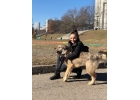 Умница Джесси в дар в загородный дом