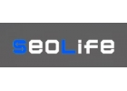 SeoLife - Раскрутка веб сайтов
