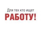 Интернет рекламщик