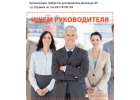 помощник руководителя