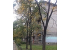 Сдается комната с хорошими соседями.