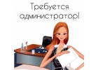 Заместитель директора
