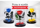 Розы в колбе - Распродажа