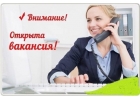 В коммерческую организацию требуется Заместитель руководителя