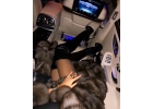 В новые апартаменты срочно требуются девушки