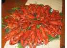Раки живые, вареные. Морепродукты