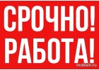 Менеджер-куратор.