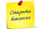 Менеджер-куратор.