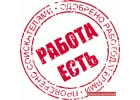 Администратор в ИП Татьяна Желукевич